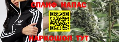 прущие крисы Тара