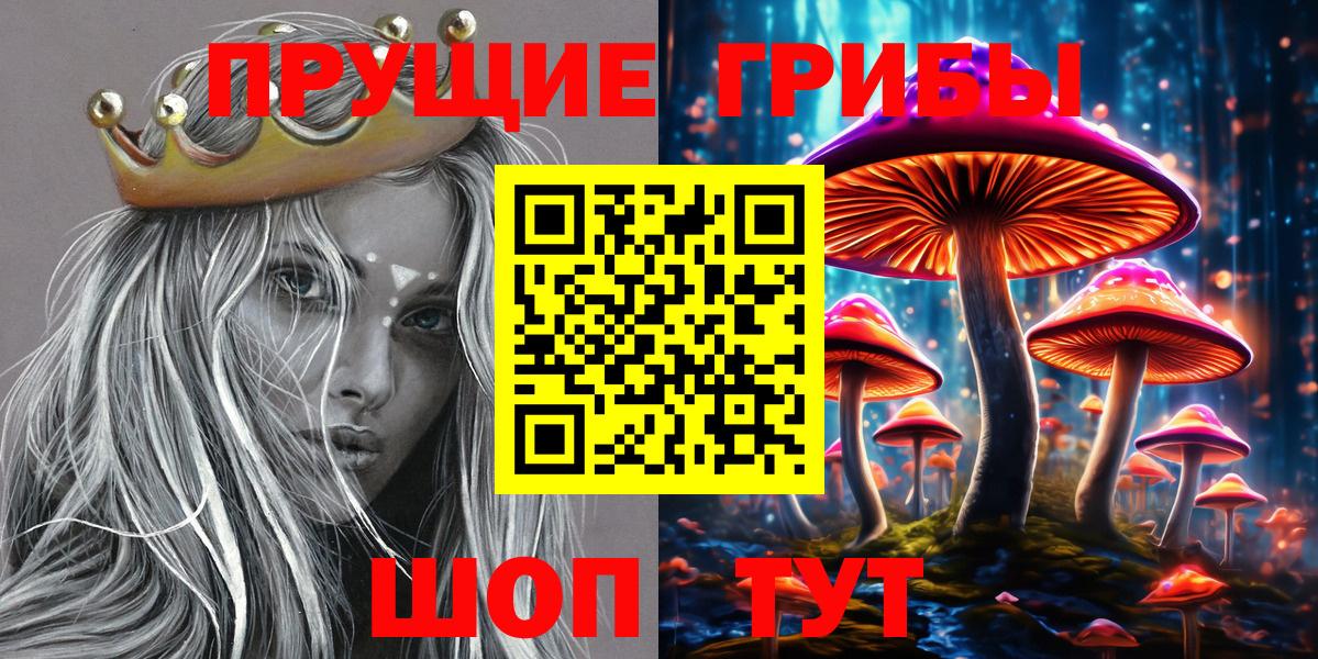 Галлюциногенные грибы прущие грибы Славгород