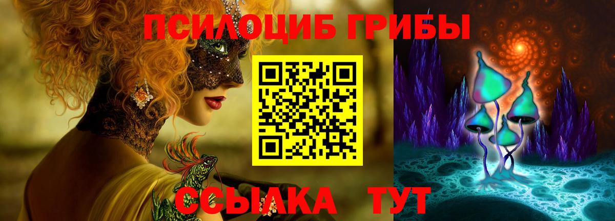 Псилоцибиновые грибы Cubensis  Вход с VPN  Славгород 